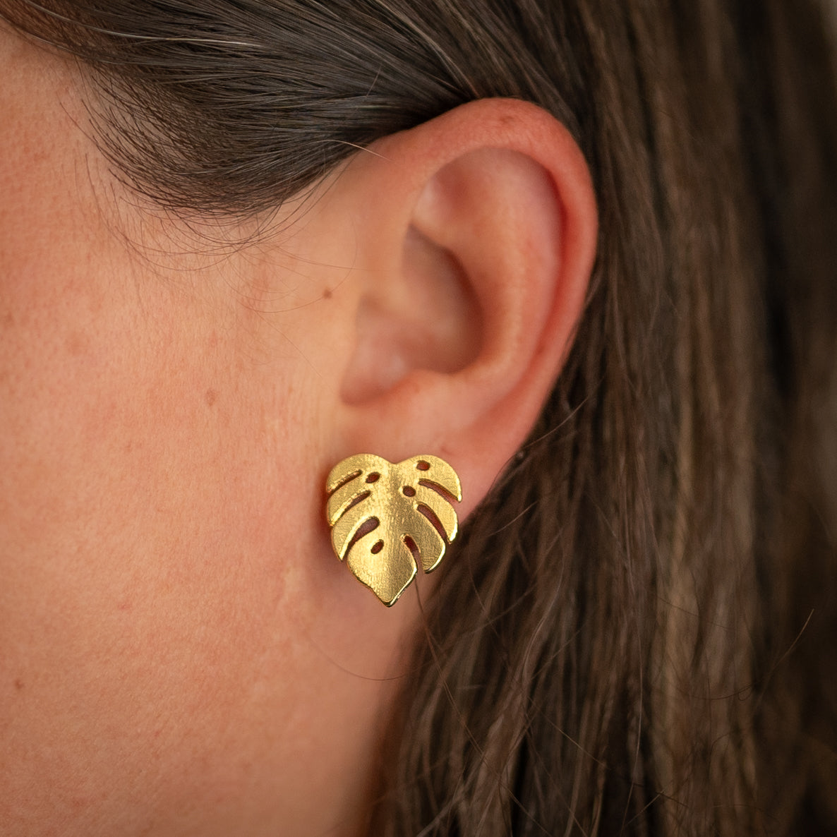 Aros Hoja Monstera Chapados en Oro o Plata